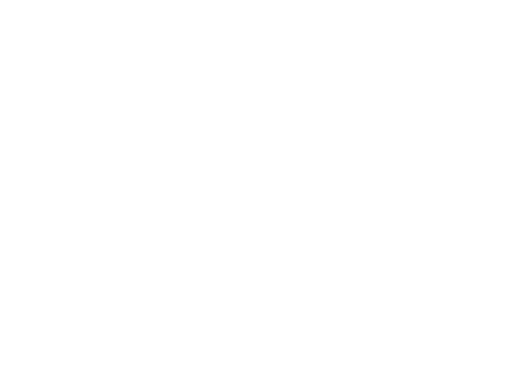 American Falcons