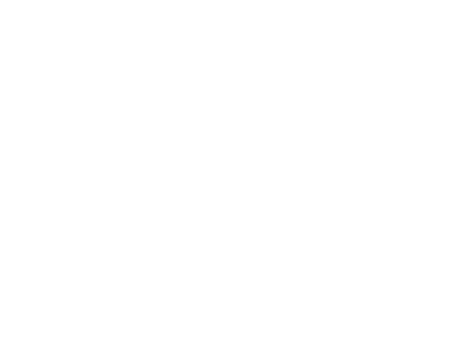 Phibrows